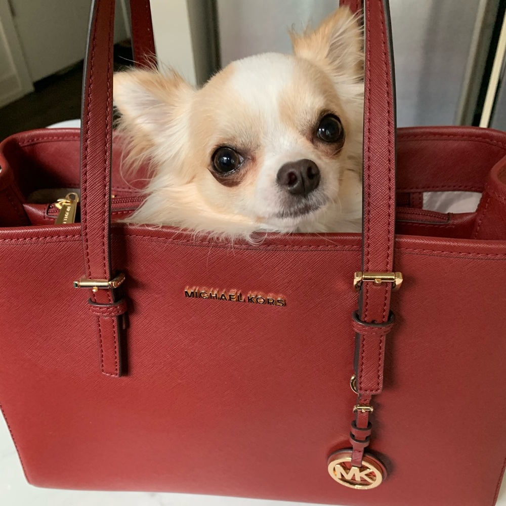 Michael Kors handbag